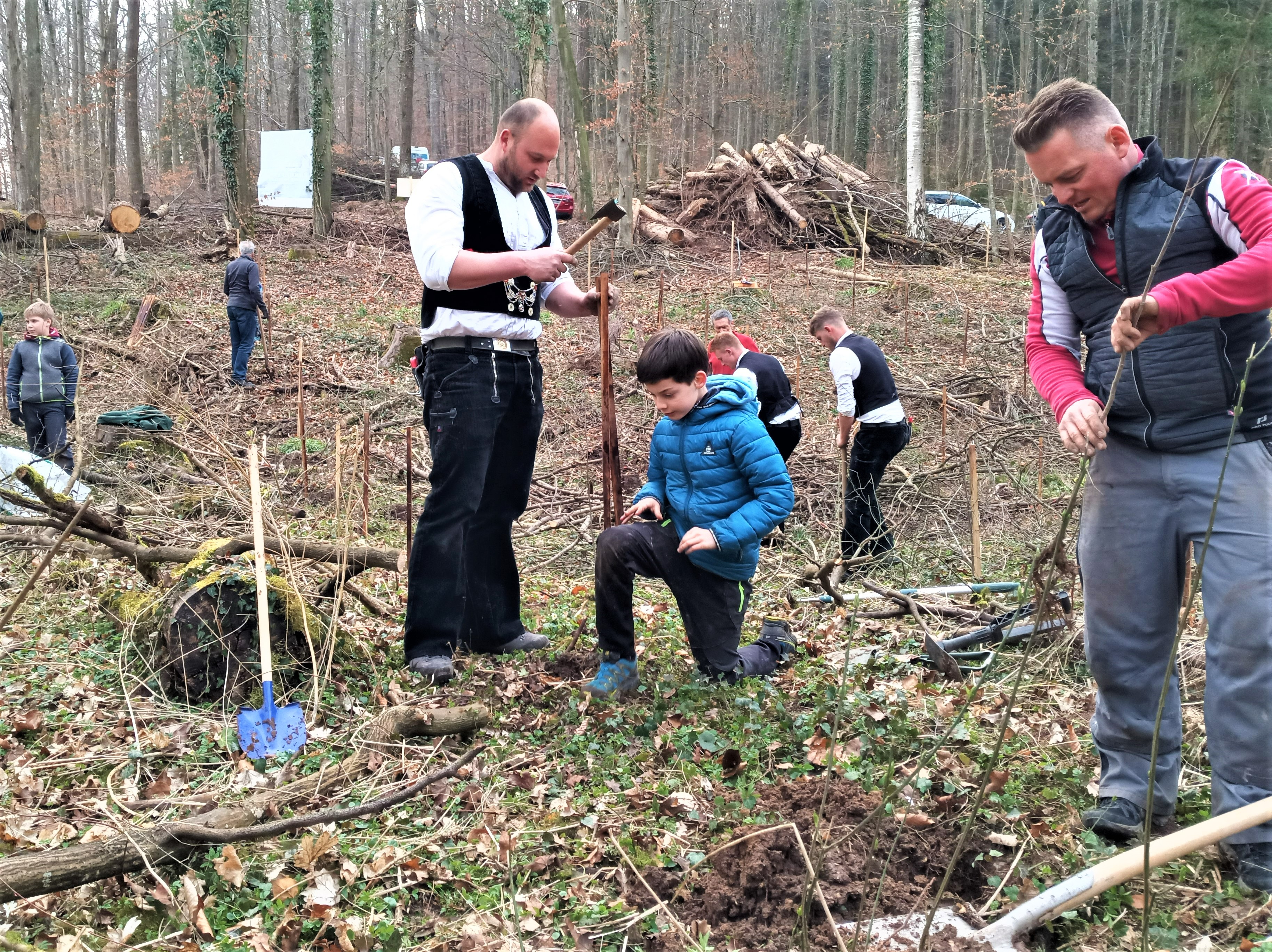 wald von morgen