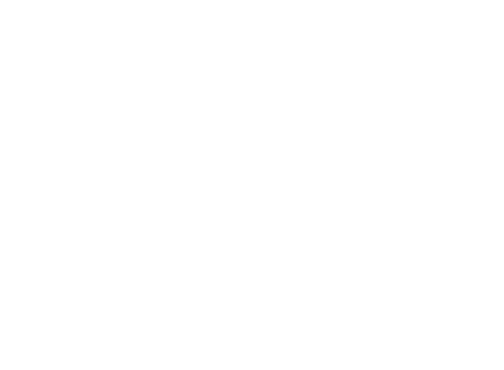 paydirt web