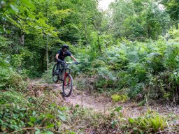 20250719_11_47_12_trailsurfer_dsc_4016