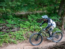20250719_12_19_24_trailsurfer_dsc_4124