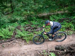 20250719_12_19_48_trailsurfer_dsc_4132