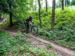 20250719_12_21_12_trailsurfer_dsc_4136