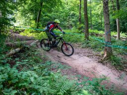 20250719_12_23_51_trailsurfer_dsc_4151