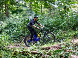 20250719_12_28_11_trailsurfer_dsc_4183