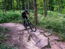 20250719_12_28_13_trailsurfer_dsc_4184