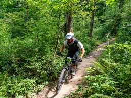 20250719_12_29_16_trailsurfer_dsc_4187