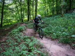 20250719_12_30_11_trailsurfer_dsc_4189