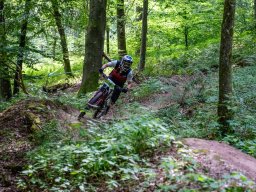 20250719_12_31_05_trailsurfer_dsc_4190
