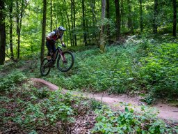 20250719_12_31_06_trailsurfer_dsc_4191