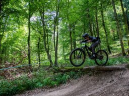 20250719_12_31_55_trailsurfer_dsc_4193