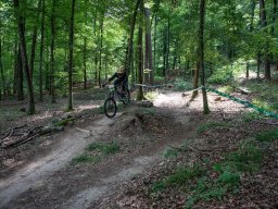 20250719_12_33_30_trailsurfer_dsc_4202