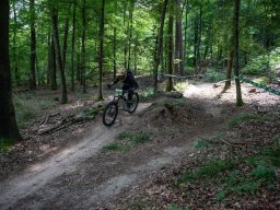 20250719_12_33_31_trailsurfer_dsc_4203