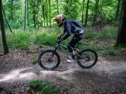 20250719_12_33_31_trailsurfer_dsc_4206