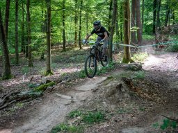 20250719_12_34_23_trailsurfer_dsc_4209