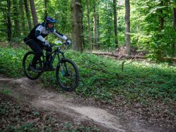 20250719_12_35_35_trailsurfer_dsc_4212