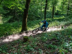 20250719_12_36_36_trailsurfer_dsc_4221