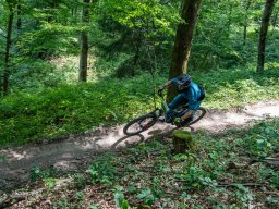 20250719_12_36_36_trailsurfer_dsc_4222