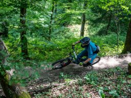 20250719_12_36_36_trailsurfer_dsc_4223