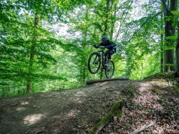 20250719_12_37_57_trailsurfer_dsc_4224