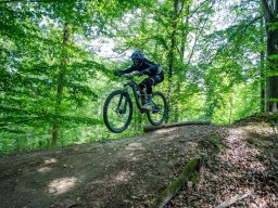 20250719_12_37_58_trailsurfer_dsc_4225