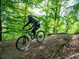 20250719_12_37_58_trailsurfer_dsc_4226