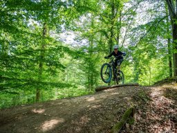 20250719_12_39_05_trailsurfer_dsc_4227