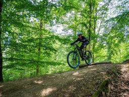 20250719_12_39_06_trailsurfer_dsc_4228