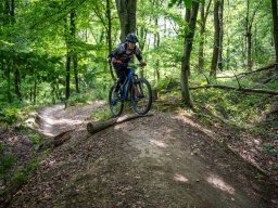 20250719_12_39_35_trailsurfer_dsc_4231