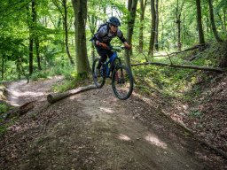 20250719_12_39_36_trailsurfer_dsc_4232