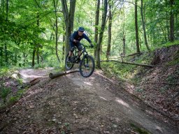 20250719_12_39_49_trailsurfer_dsc_4235