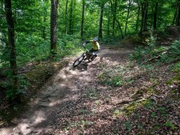 20250719_12_40_50_trailsurfer_dsc_4241