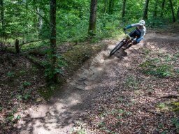 20250719_12_41_09_trailsurfer_dsc_4243