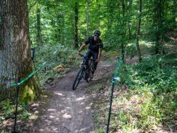 20250719_12_45_00_trailsurfer_dsc_4269