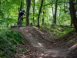 20250719_12_46_04_trailsurfer_dsc_4275