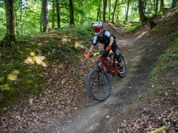 20250719_12_46_06_trailsurfer_dsc_4279