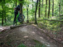 20250719_12_46_48_trailsurfer_dsc_4280