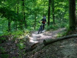 20250719_12_48_03_trailsurfer_dsc_4288