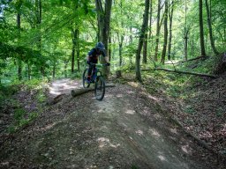 20250719_12_48_04_trailsurfer_dsc_4289