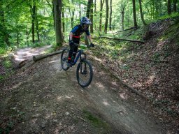 20250719_12_48_05_trailsurfer_dsc_4290