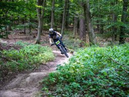 20250719_12_50_42_trailsurfer_dsc_4308