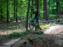 20250719_12_51_45_trailsurfer_dsc_4311
