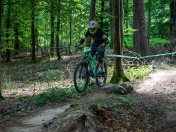 20250719_12_51_45_trailsurfer_dsc_4312