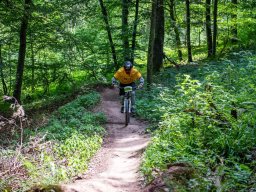 20250719_12_54_36_trailsurfer_dsc_4323