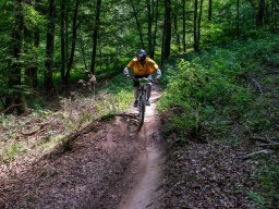 20250719_12_54_37_trailsurfer_dsc_4324