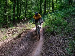 20250719_12_54_38_trailsurfer_dsc_4325