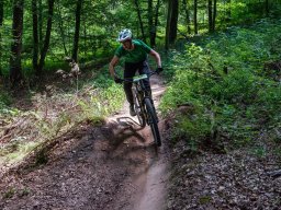 20250719_12_54_42_trailsurfer_dsc_4329