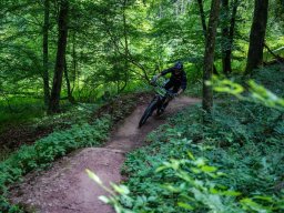 20250719_12_55_23_trailsurfer_dsc_4333