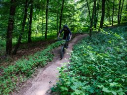 20250719_12_55_24_trailsurfer_dsc_4334