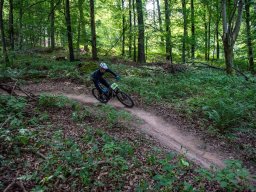 20250719_12_55_50_trailsurfer_dsc_4336