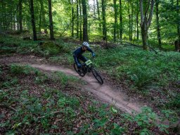 20250719_12_55_50_trailsurfer_dsc_4337